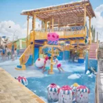 Splash Bites - Image 3