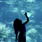 Xcaret Plus TOUR con Transporte - TODO INCLUIDO - Image 19