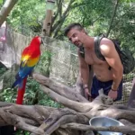 Xcaret Plus TOUR con Transporte - TODO INCLUIDO - Image 14