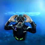 Buceo en Cozumel – Principiante o Certificado Extranjero - Image 4