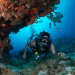 Buceo en Cozumel – Principiante o Certificado Extranjero - Image 3