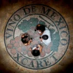 Xcaret Plus TOUR con Transporte - TODO INCLUIDO - Image 3