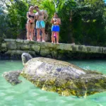 Xcaret Plus TOUR con Transporte - TODO INCLUIDO - Image 20