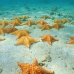 Cozumel el Cielo VIP Tour en Catamarán Todo Incluido - Image 3