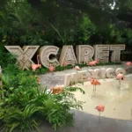 Xcaret Plus TOUR con Transporte - TODO INCLUIDO - Image 25
