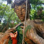 Tulum Casa Tortuga TOUR Instagram 🇲🇽 - Mexicanos - Image 10