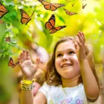 Xcaret Plus TOUR con Transporte - TODO INCLUIDO - Image 56