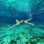 Tulum Casa Tortuga TOUR Instagram 🇲🇽 - Mexicanos - Image 9