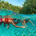 Xcaret Plus TOUR con Transporte - TODO INCLUIDO - Image 48