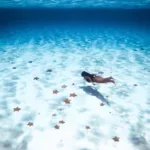 Cielo Cozumel en Lancha - Image 5