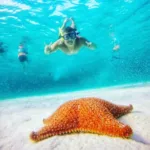 Cielo Cozumel en Lancha - Image 4