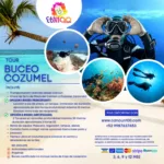 Buceo en Cozumel – Principiante o Certificado Extranjero - Image 2