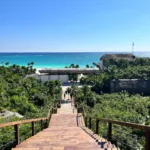 Tulum Parque Jaguar 🐆 TOUR Instagram - Image 2