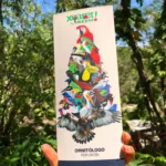 Xcaret Plus TOUR con Transporte - TODO INCLUIDO - Image 45