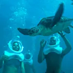 Xcaret Basico TOUR con Transporte 🇲🇽 Mexicanos - Image 3