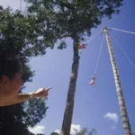 Xcaret Plus TOUR con Transporte - TODO INCLUIDO - Image 29