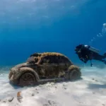 Tour a ISLA MUJERES en Catamaran TODO Incluido 🔥 + CLUB DOLPHIN DISCOVERY - Image 13