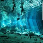 TULUM + Cenote DOS OJOS + Gran Cenote y Madre Naturaleza un DIA - Image 5