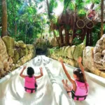 Xcaret PLUS 🔥 con Transporte - Promoción MEXICANOS 🇲🇽 - Image 15