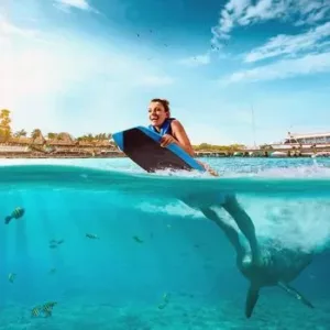 delfines-en-isla-mujeres-swim-and-ride-dolphin-discovery.webp