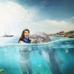 Encuentro con Delfines 🐬 en ISLA MUJERES Tour Familiar - Image 7