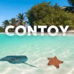 Isla Contoy Economico 🔥+ Isla Mujeres Todo Incluido - Image 5