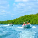 Jungle Tour Cancun Speed Boats - Conduce Tu Lancha Rapida con Snorkel - Image 11