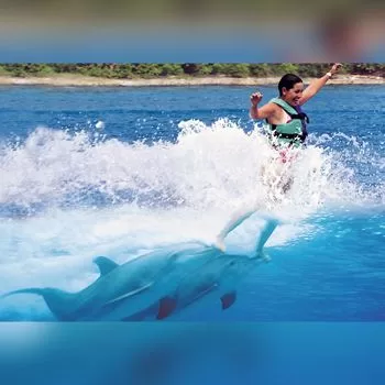 Royal Swim Nado con Delfines ISLA MUJERES - Avanzado