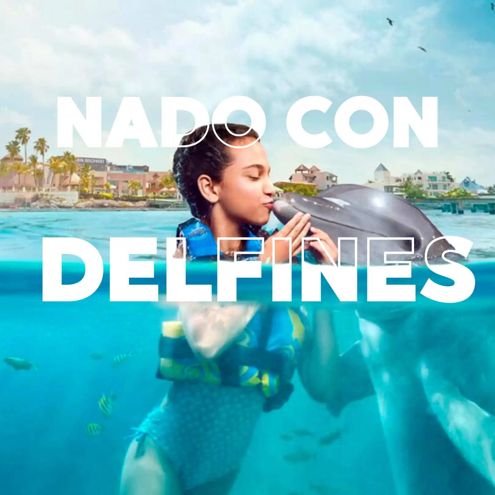 nado-con-delfines-en-la-isla-de-las-mujeres-encuentro-e-interactivo-1.webp Encuentro con Delfines 🐬 en ISLA MUJERES Tour Familiar - Image 1