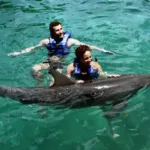 Nado con Delfines 🔥 ISLA MUJERES Infantes Gratis - Image 5