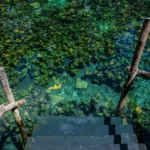 Tulum 4x1 CLASICO 🔥 Cuatro en Uno Dia Todo Incluido 🇲🇽 Mexicanos - Image 11