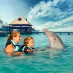 Encuentro con Delfines 🐬 en ISLA MUJERES Tour Familiar - Image 9