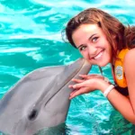 Nado con Delfines 🔥 ISLA MUJERES Infantes Gratis - Image 8