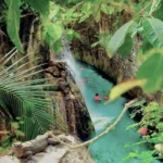 Xcaret PLUS 🔥 con Transporte - Promoción MEXICANOS 🇲🇽 - Image 14