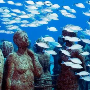 snorkel-en-arrecifes-de-coral-y-museo-subacuatico-en-tour-a-isla-de-las-mujeres-1.webp