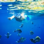 Isla Contoy Economico 🔥+ Isla Mujeres Todo Incluido - Image 8