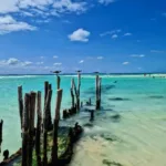 Catamarán Isla Mujeres TODO INCLUIDO Familiar - Image 3