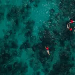 Isla Contoy Economico 🔥+ Isla Mujeres Todo Incluido - Image 7