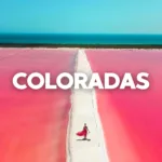 Las COLORADAS y Rio Lagartos Tour de Dia - Image 2