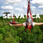 Selvatica AVENTURA en Ruta de los Cenotes + Tirolesas y Cuatrimotos DOBLE - Image 3