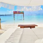 Tour a ISLA MUJERES en Catamaran TODO Incluido 🔥 + CLUB DOLPHIN DISCOVERY - Image 4