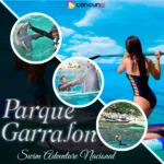 Garrafón Swim Adventure Nacional con delfines en Isla Mujeres