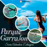 Garrafón Swim Adventure Extranjero con delfines en Isla Mujeres