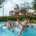 Jungala Beyond - Image 3