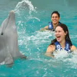 Garrafón Swim Adventure Nacional con delfines en Isla Mujeres - Imagen 2