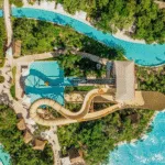 Jungala Beyond - Image 2