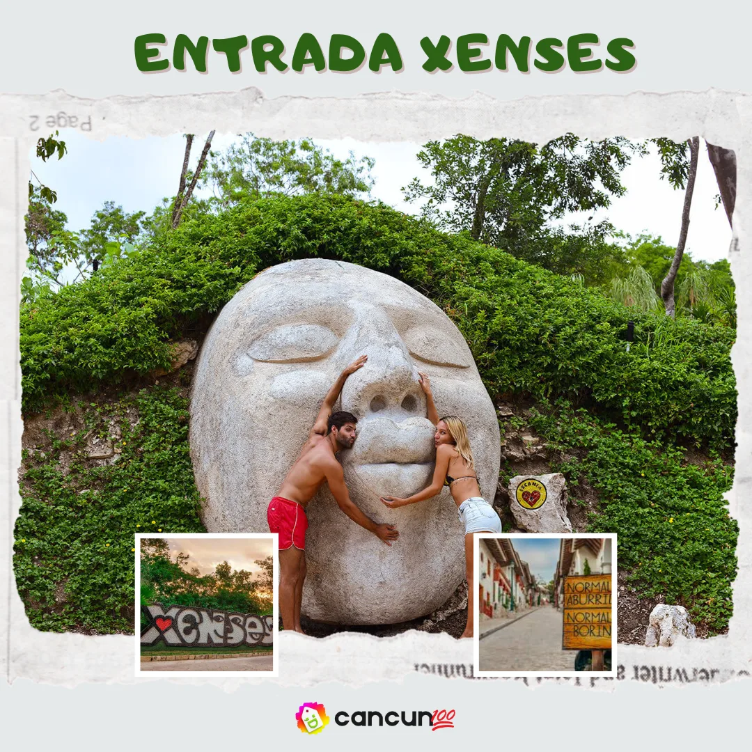 michelle(9) Entrada Xenses - Imagen 1